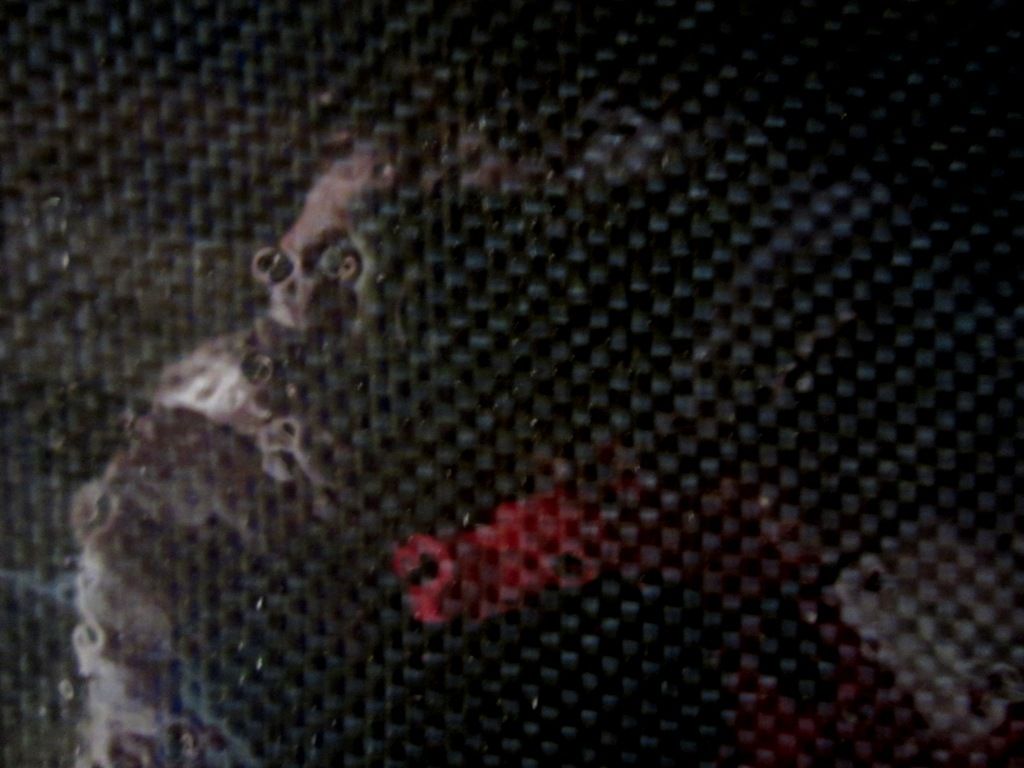 photo zcf1_zpsa524875a.jpg