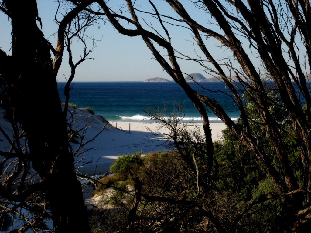 photo IMG_7570_zps36edec1e.jpg