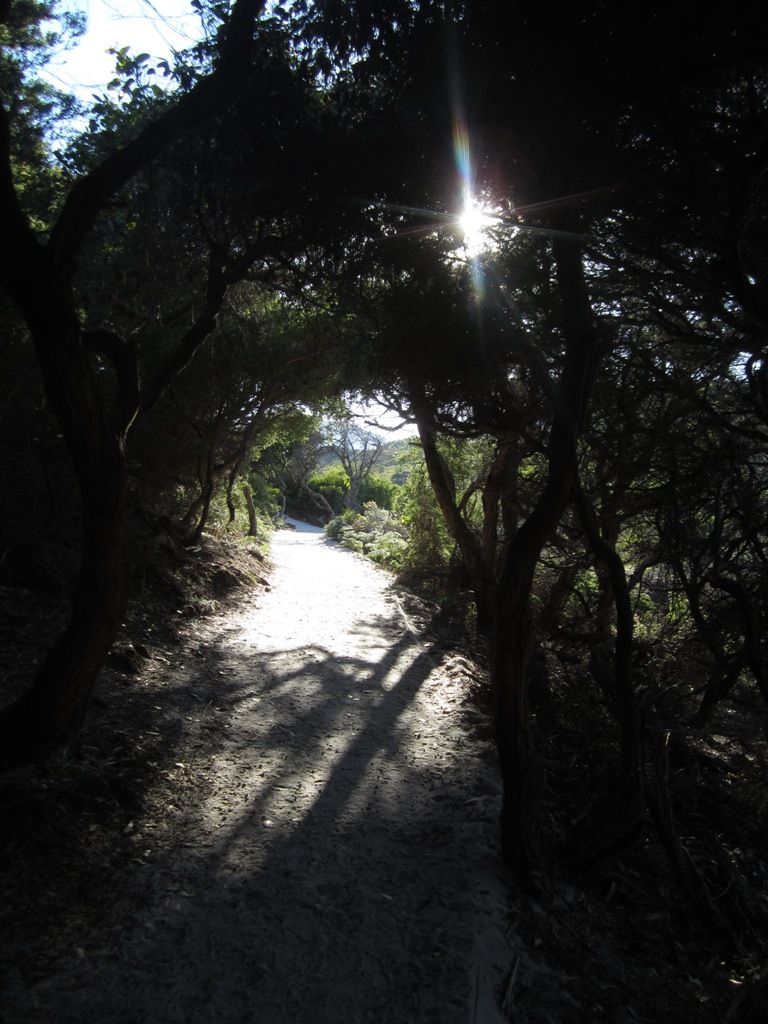 photo IMG_7583_zps70dc3879.jpg