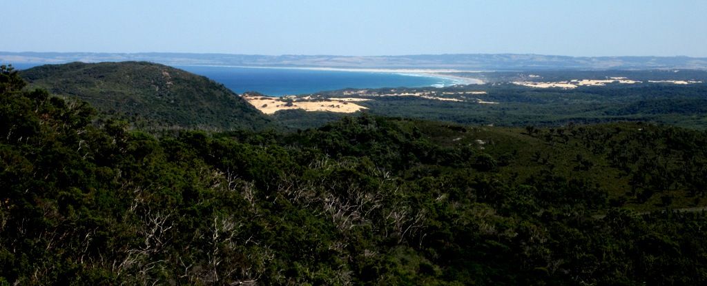 photo IMG_7614_zps54f55466.jpg