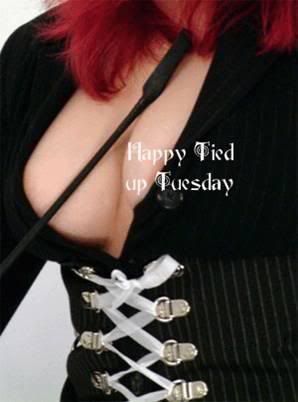 tied up tuesday Pictures, Images and Photos