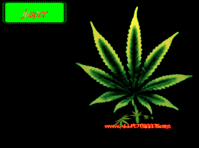 marijuana wallpaper. love 05 3123#39;s Media Box