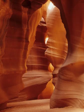 daisy-gilardini-slot-canyons-of-the.jpg