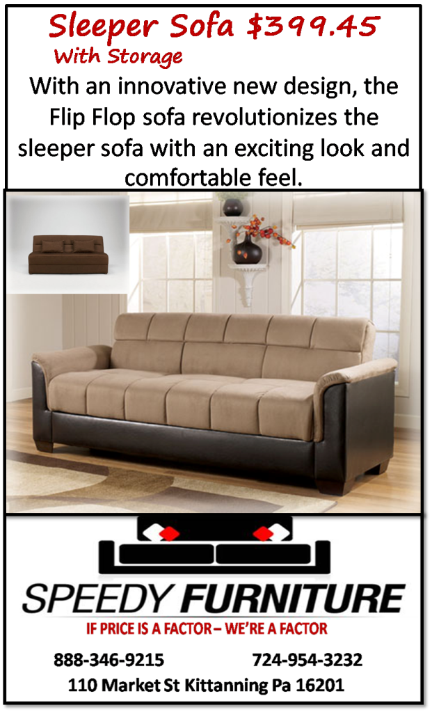 sleeper sofa phoenix