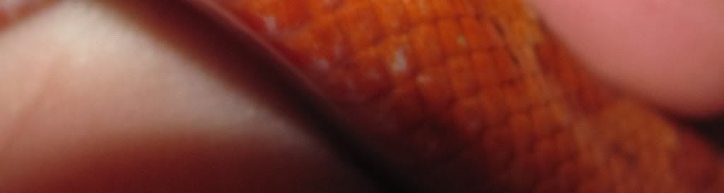 062-5.jpg