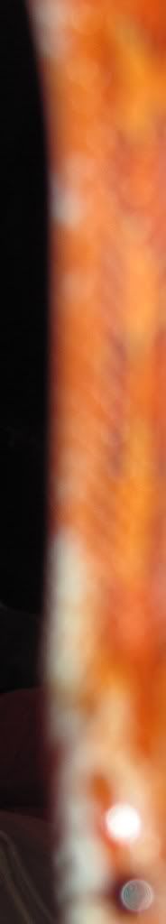 063-5.jpg