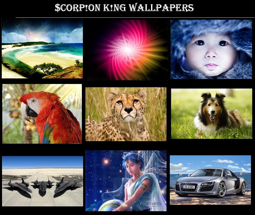 Amazing wallpapers By Scorpion King preview 0