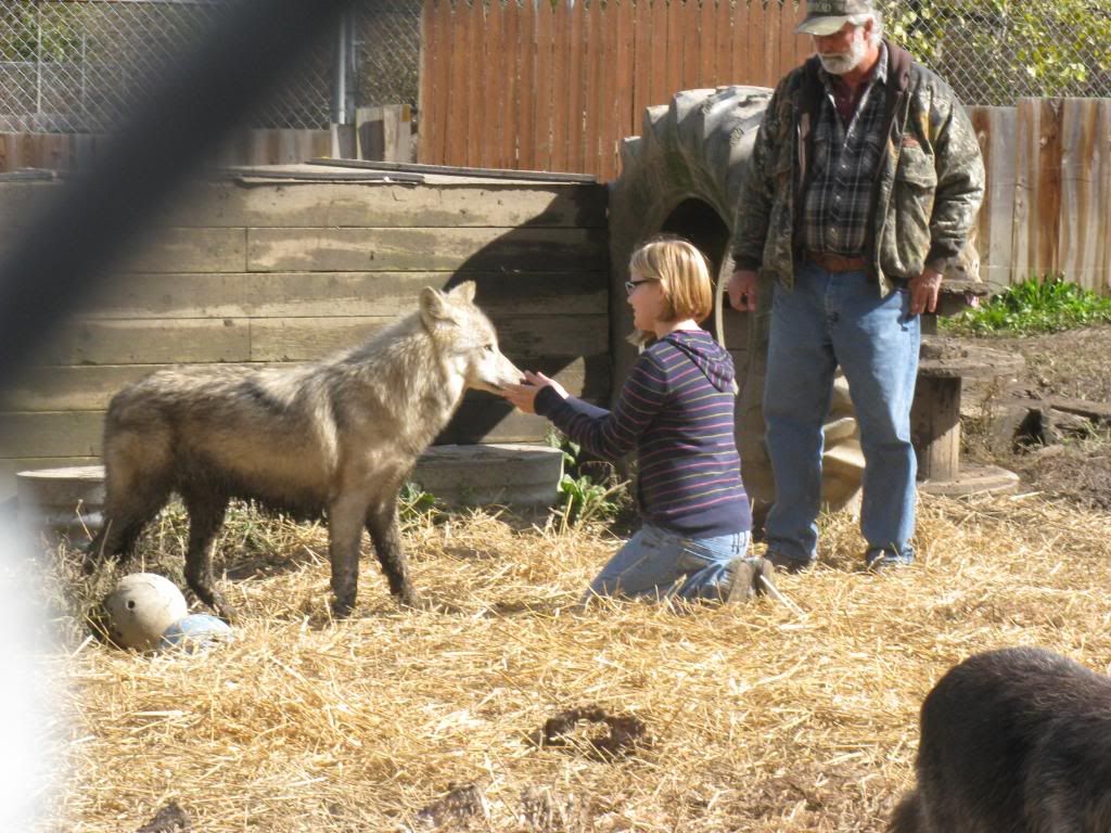 013.jpg Chey with the wolves image by Caralee_2009