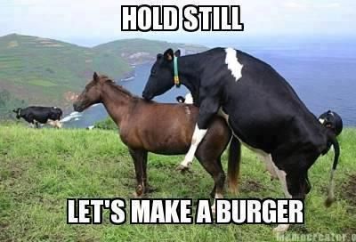 cowhorseburger.jpg