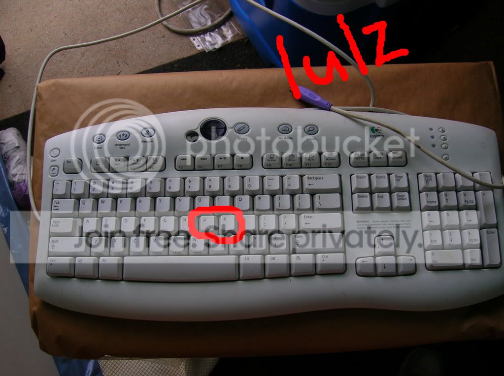 User Image