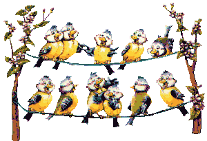 vbn