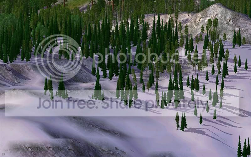 landscape1.jpg
